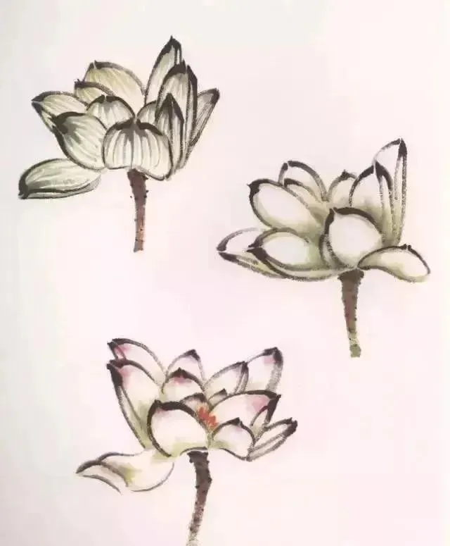 自学工笔：荷花。一看就会系列 第57张