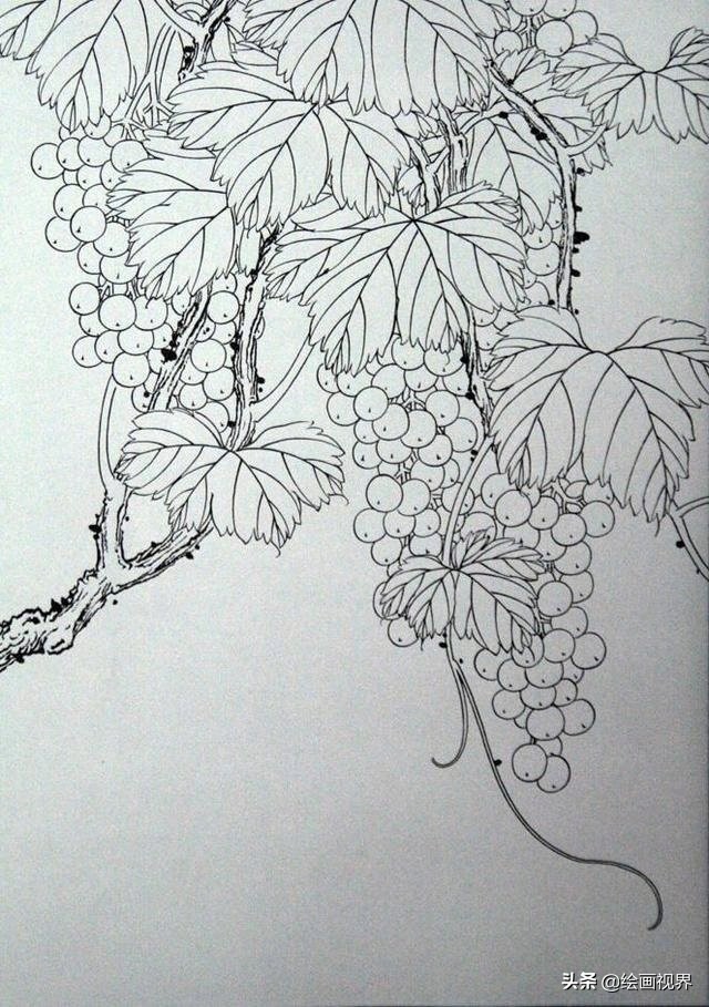 初学者怎么正确画？快把这些难得一见的线稿收藏起来，全部画一遍 第5张