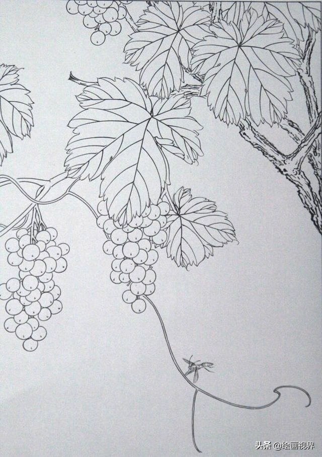 初学者怎么正确画？快把这些难得一见的线稿收藏起来，全部画一遍 第13张
