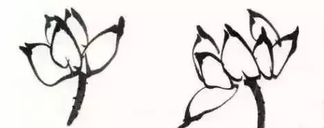 自学工笔：荷花。一看就会系列 第45张