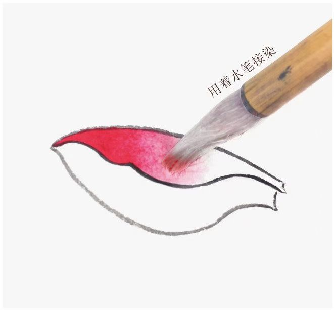 自学工笔：荷花。一看就会系列 第51张
