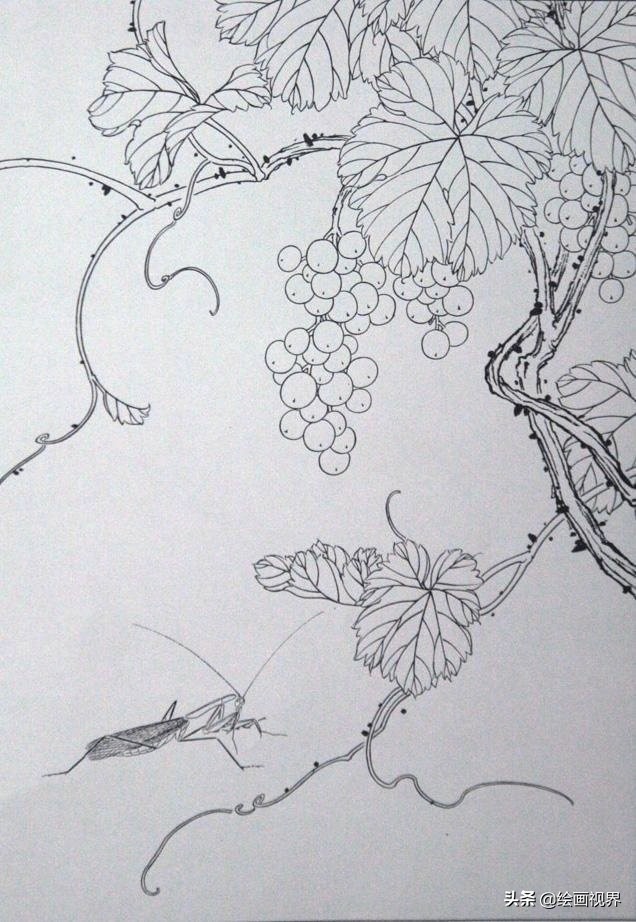 初学者怎么正确画？快把这些难得一见的线稿收藏起来，全部画一遍 第3张