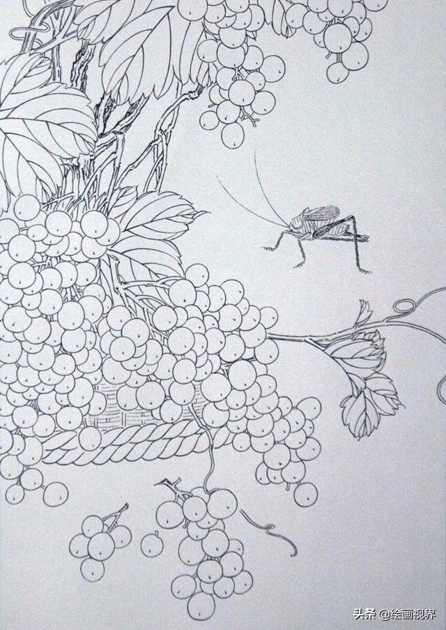 初学者怎么正确画？快把这些难得一见的线稿收藏起来，全部画一遍 第11张