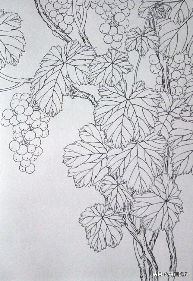 初学者怎么正确画？快把这些难得一见的线稿收藏起来，全部画一遍 第7张