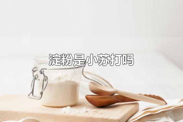 淀粉是小苏打吗 淀粉不是小苏打 第1张