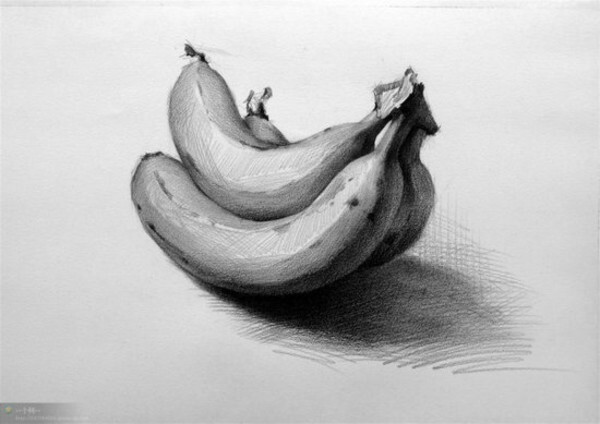 素描单体画香蕉的欣赏 第1张