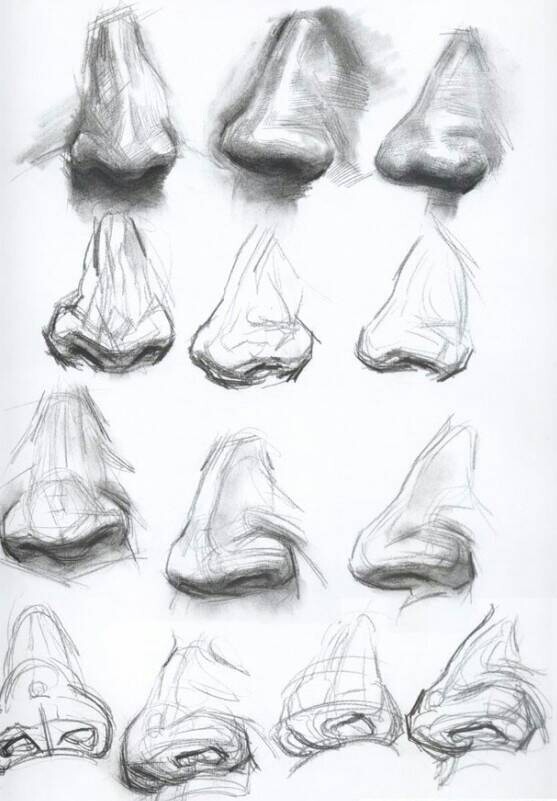 素描鼻子 第1张