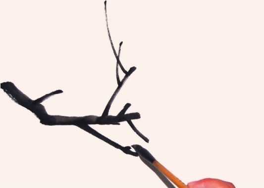 零基础国画教程：花枝的三种画法详细步骤图解，简单易学，快收藏 第15张