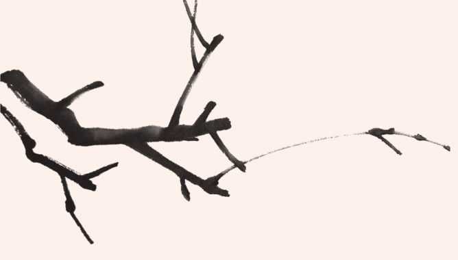 零基础国画教程：花枝的三种画法详细步骤图解，简单易学，快收藏 第19张