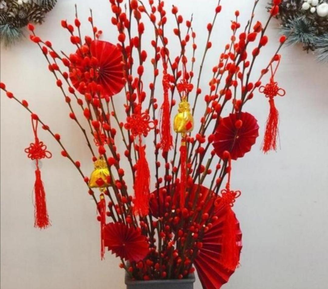 春节买把银柳枝，干插到花瓶里，不用养护，能观赏半年 第14张