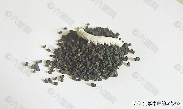 每日一中药——蚕沙 第5张