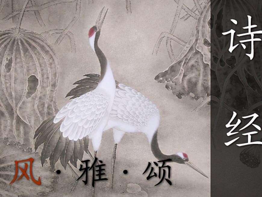 “四书五经”是指哪几部书，为何夸人知识渊博为“饱读诗书”？ 第7张