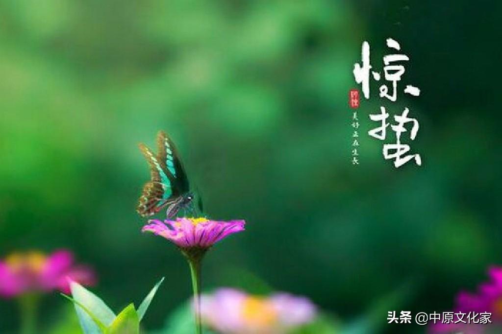 惊蛰是怎么来的？为何有“惊蛰刮北风，从头另过冬”的说法 第1张