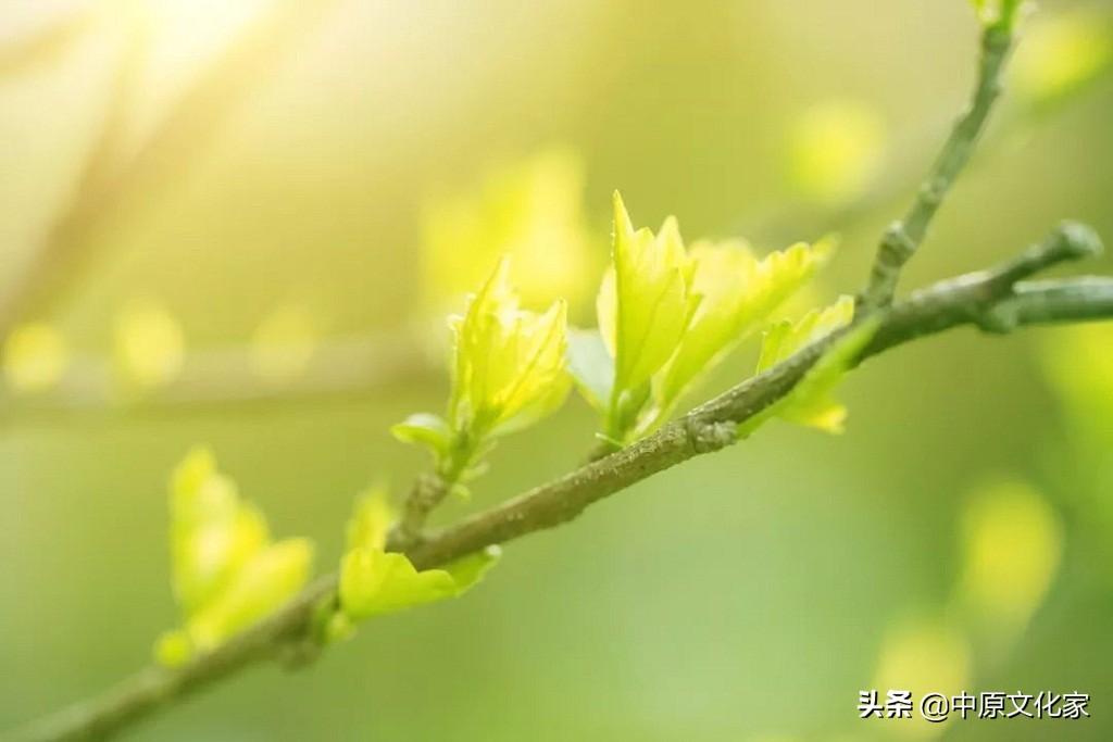 惊蛰是怎么来的？为何有“惊蛰刮北风，从头另过冬”的说法 第5张