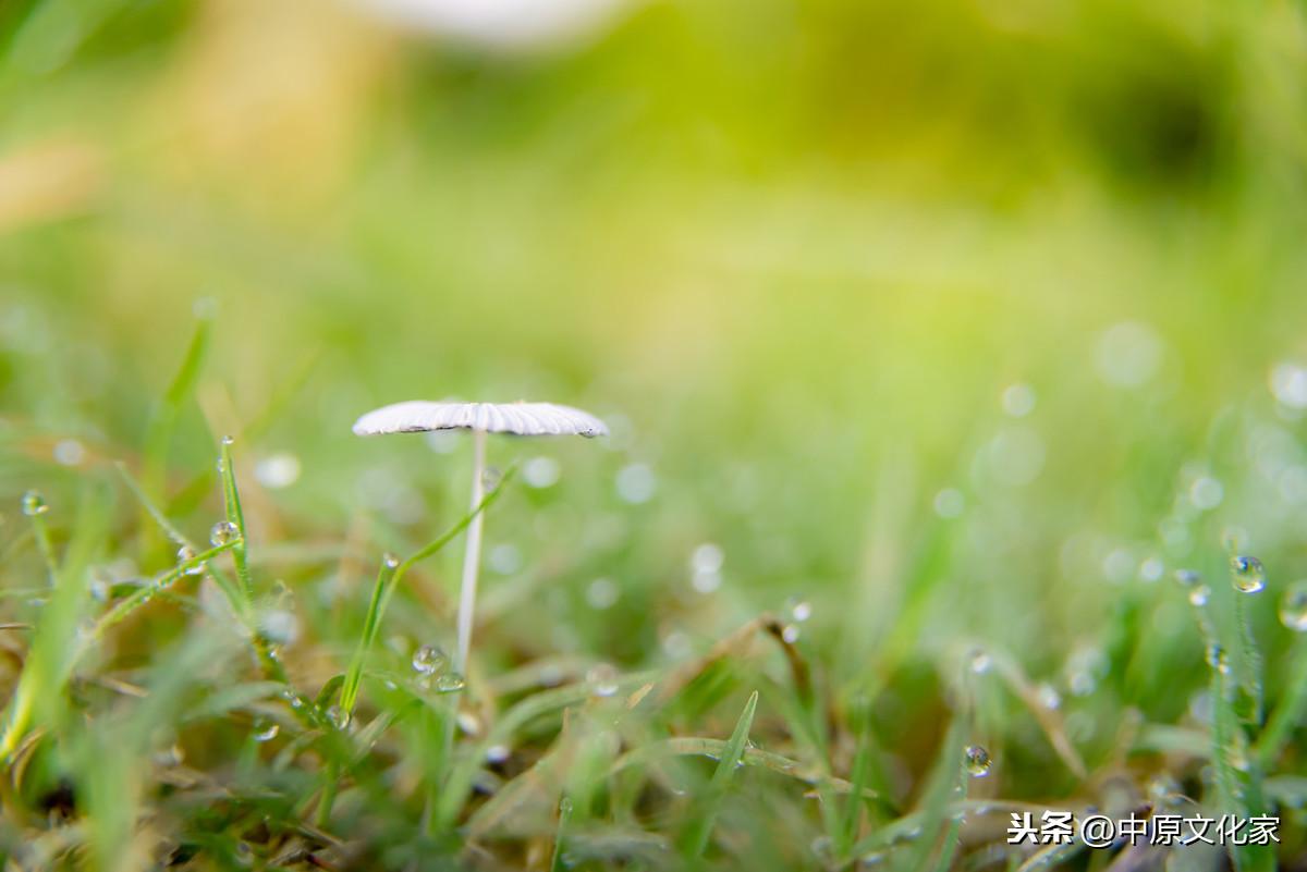 惊蛰是怎么来的？为何有“惊蛰刮北风，从头另过冬”的说法 第11张
