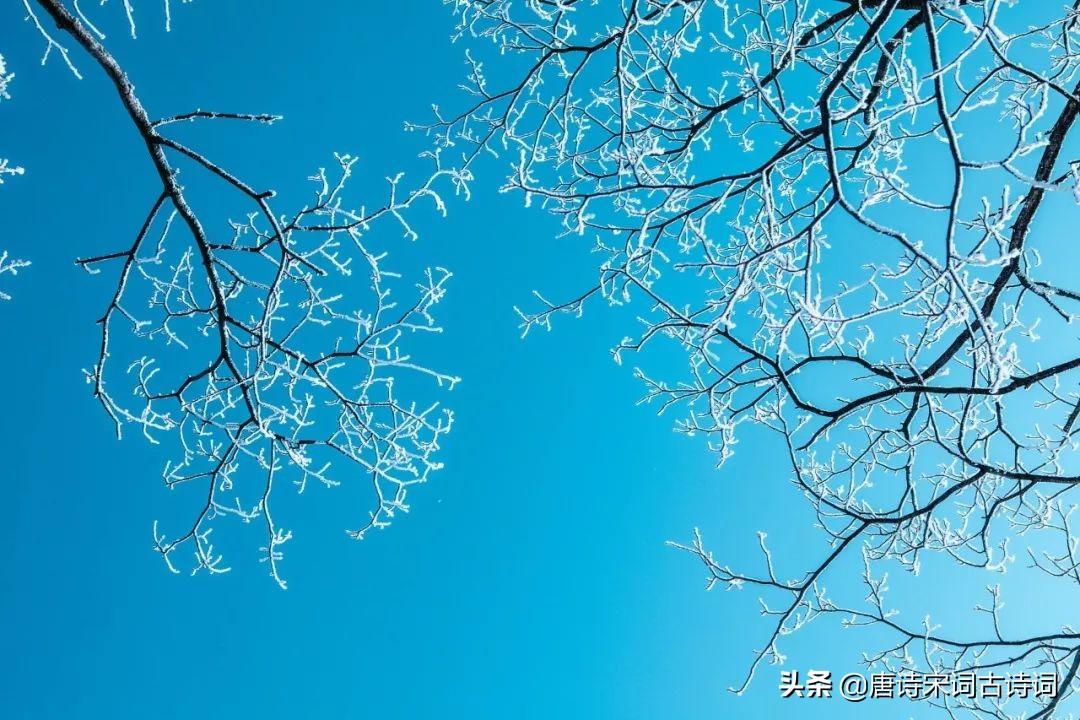 30首立冬诗词，在诗词里，体味诗意冬日 第3张