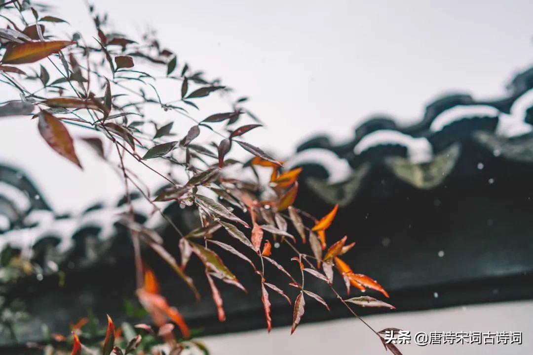 30首立冬诗词，在诗词里，体味诗意冬日 第9张