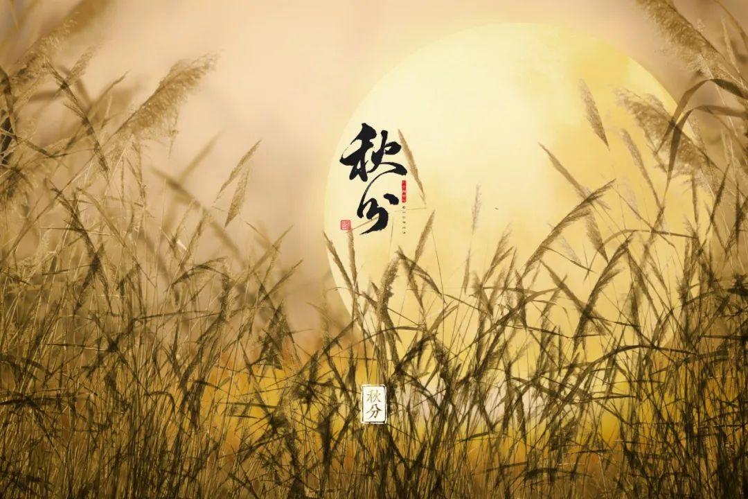 10首最美的秋分诗词，浅遇一季秋，足以醉红尘 第3张