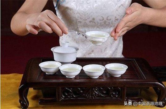 中国茶源地理：泡茶的基本步骤 第11张