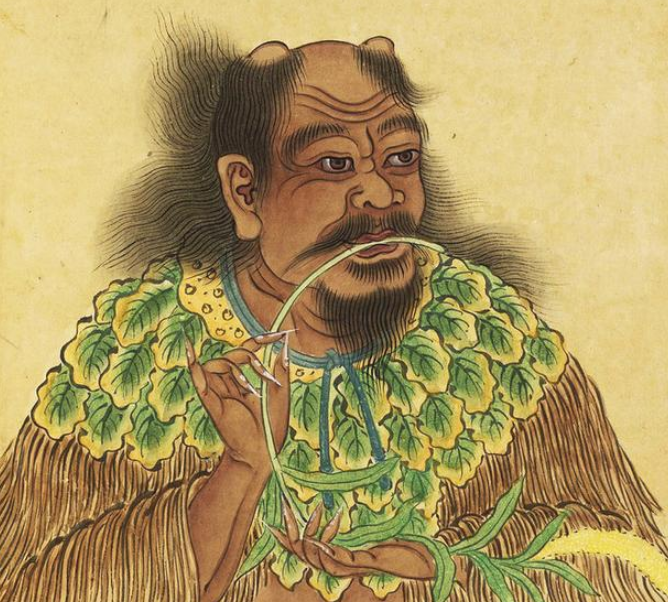 嬴政不姓嬴？为何古代会有“姓”和“氏”的区分？ 第3张