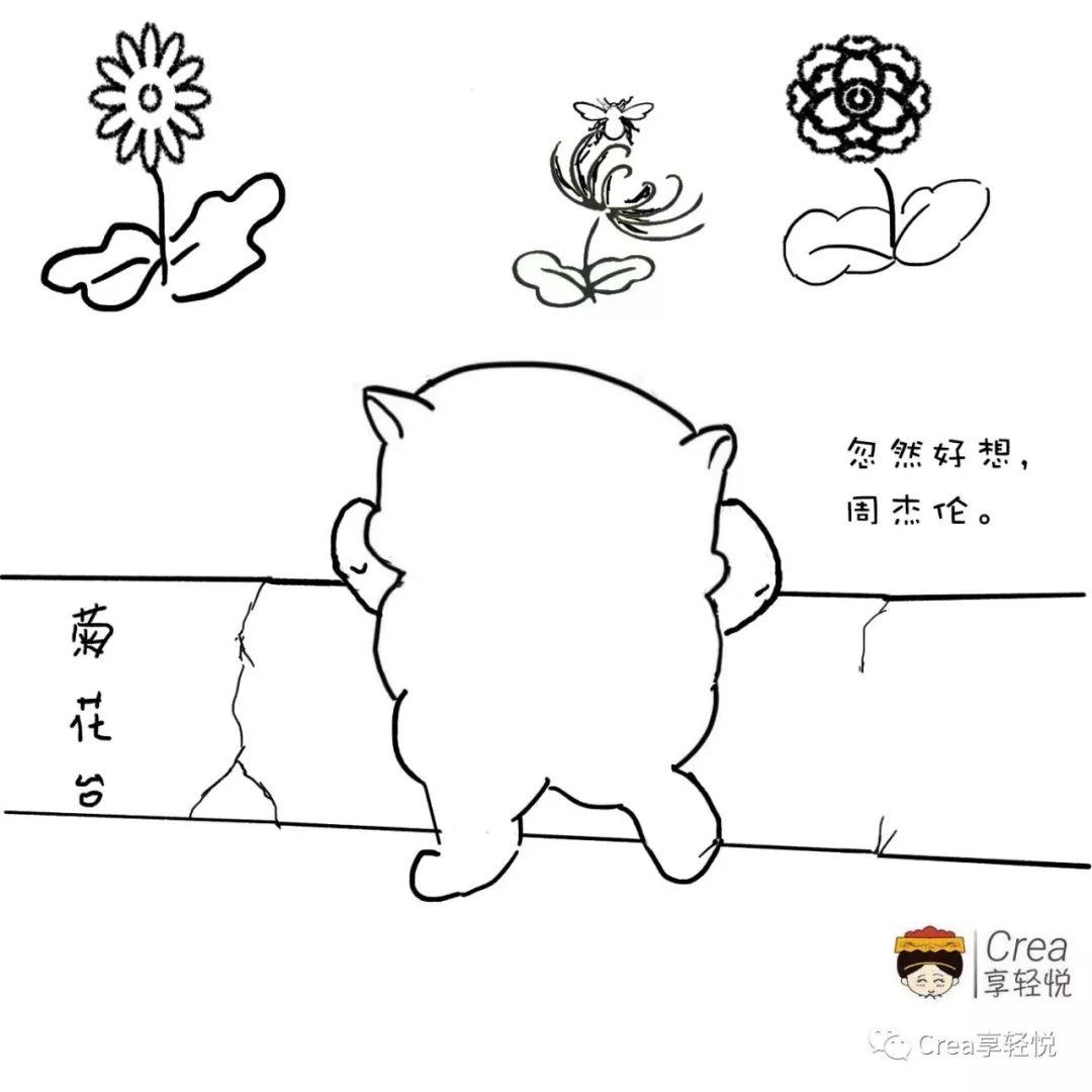 8种菊花有什么特点，如何选择适合自己的菊花茶？带您了解 第1张