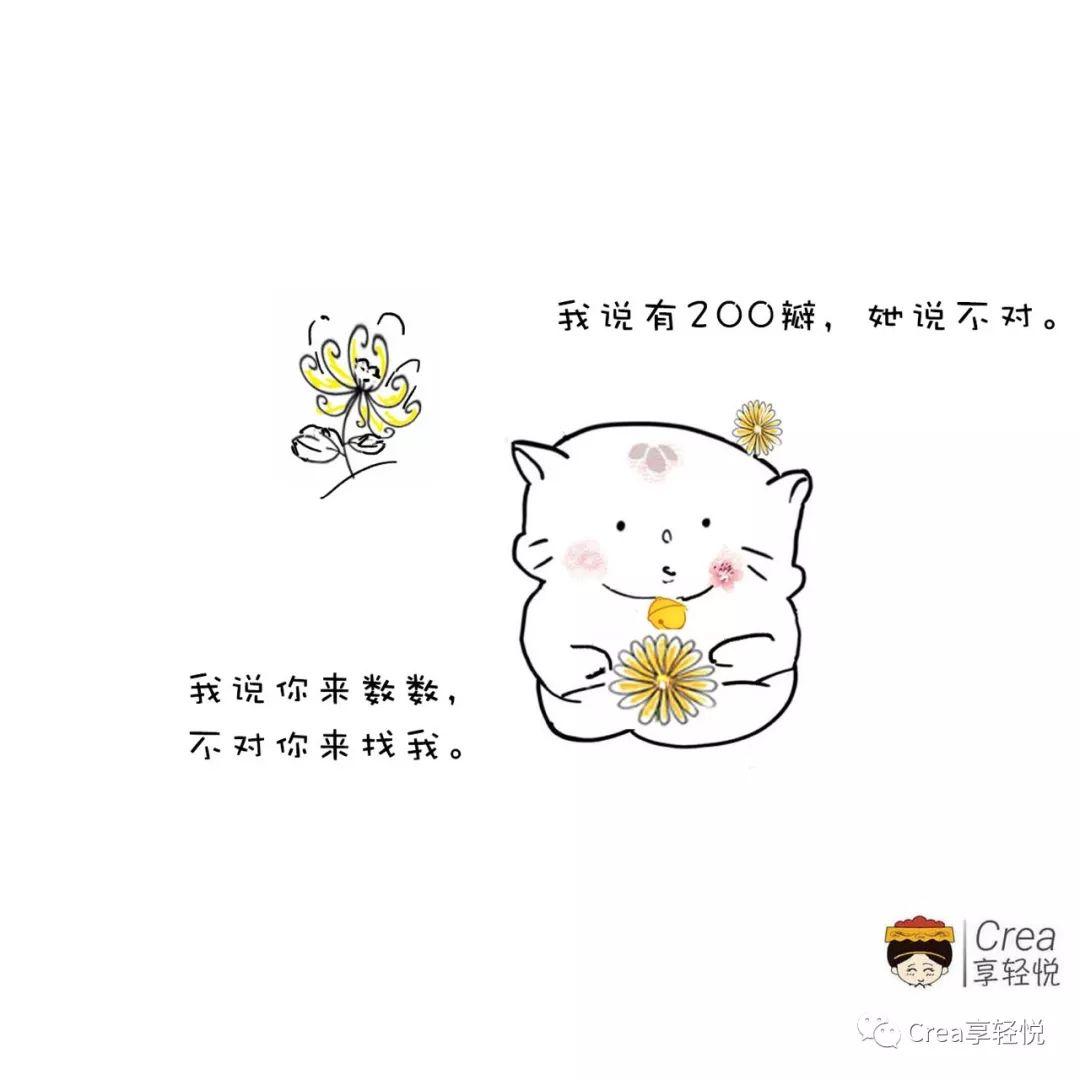 8种菊花有什么特点，如何选择适合自己的菊花茶？带您了解 第5张