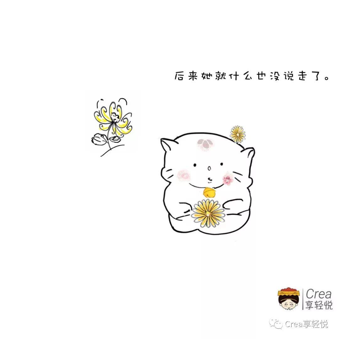 8种菊花有什么特点，如何选择适合自己的菊花茶？带您了解 第7张
