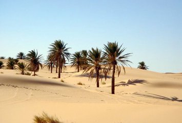 世界“土地面积最大”国家排行榜前10名，图文详解 第19张