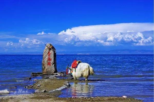 中国最大咸水湖是哪个「中国最大的内陆湖泊简介」 第1张