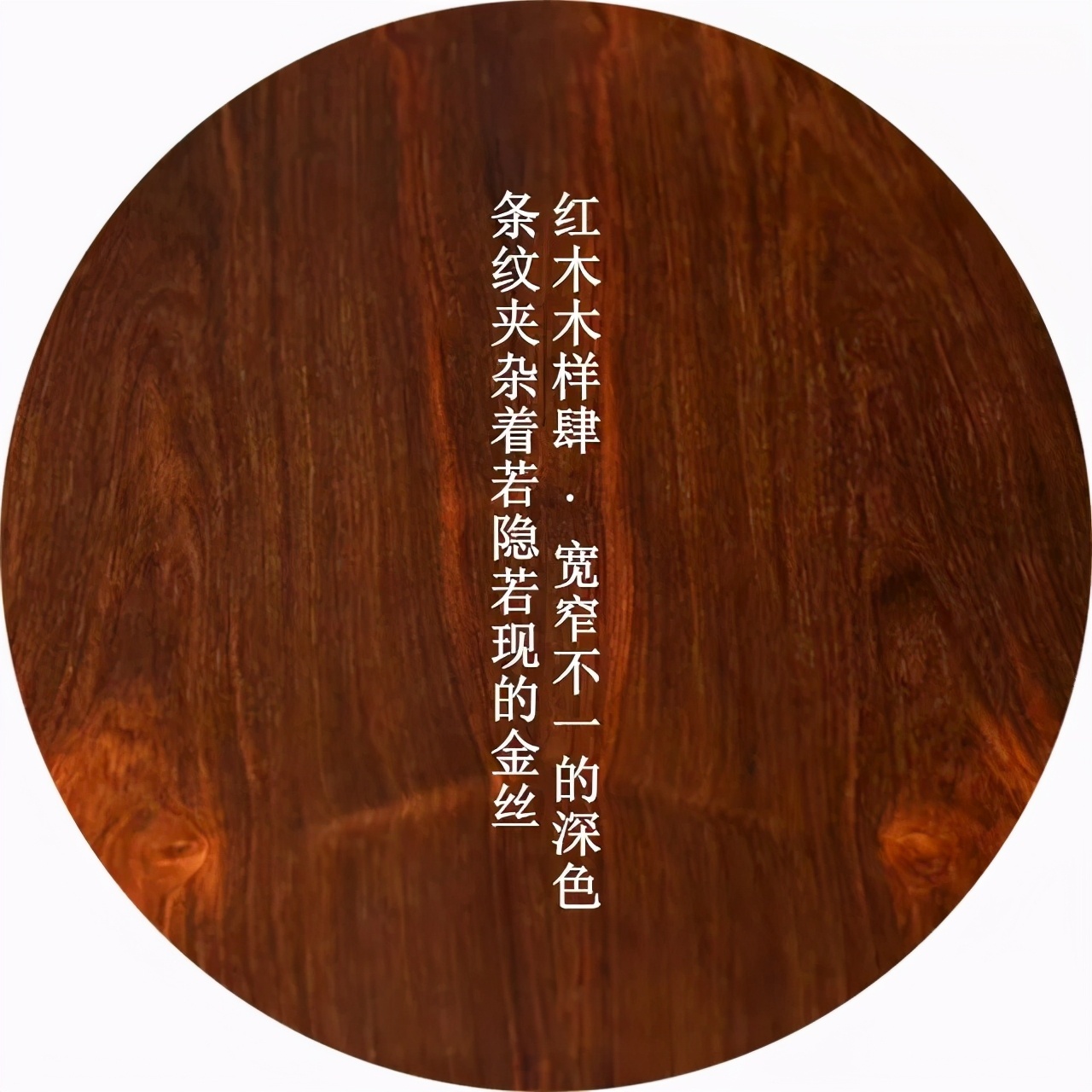 红木究竟指的是哪种木头？ 第7张
