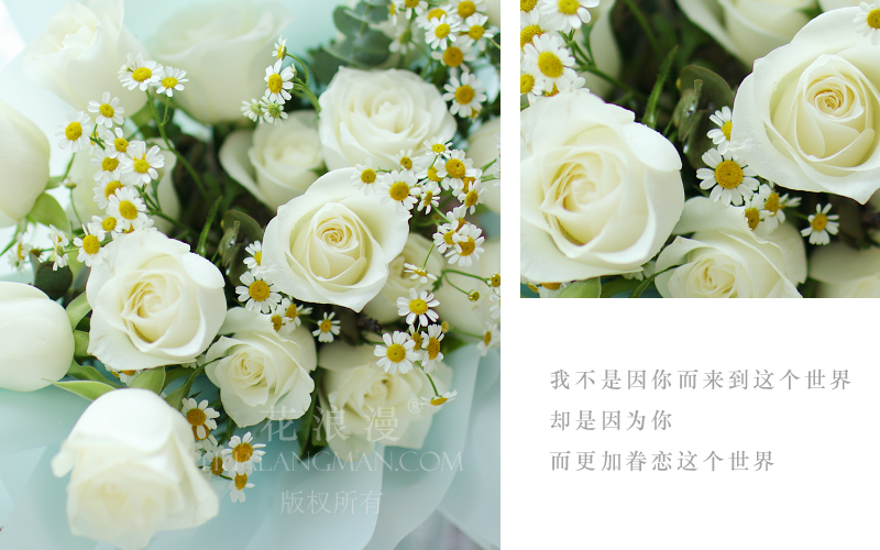 白玫瑰的含义，你知道白玫瑰适合什么场合送吗？ 第3张
