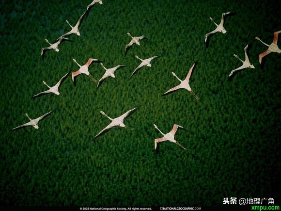 莫桑比克海峡 第7张
