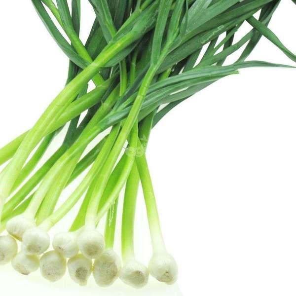 食物药物—蒜苗的营养价值 第1张