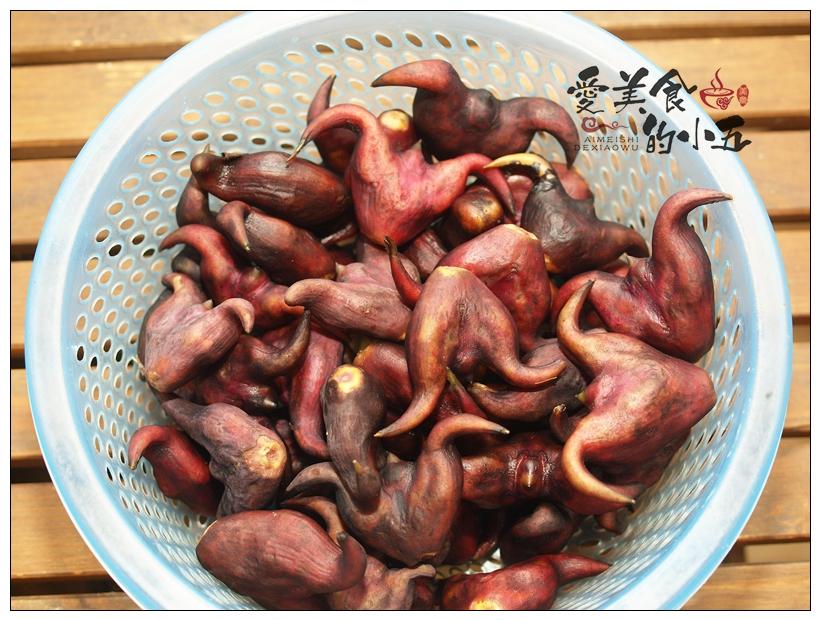 新鲜菱角怎么吃最好吃？推荐清水煮菱角，最是清香怡人 第1张