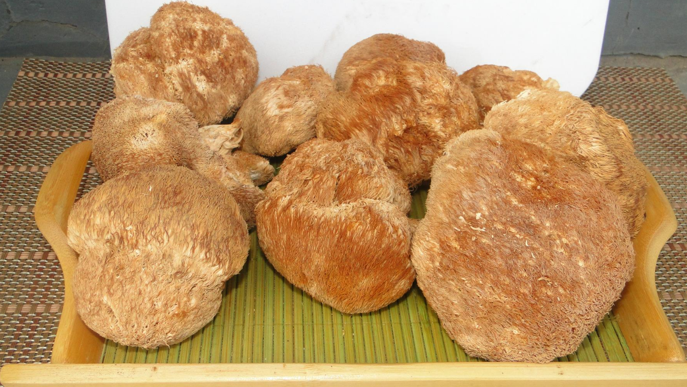 猴头菇5种最好吃的做法，每种都营养又美味，看看你喜欢哪种？ 第13张