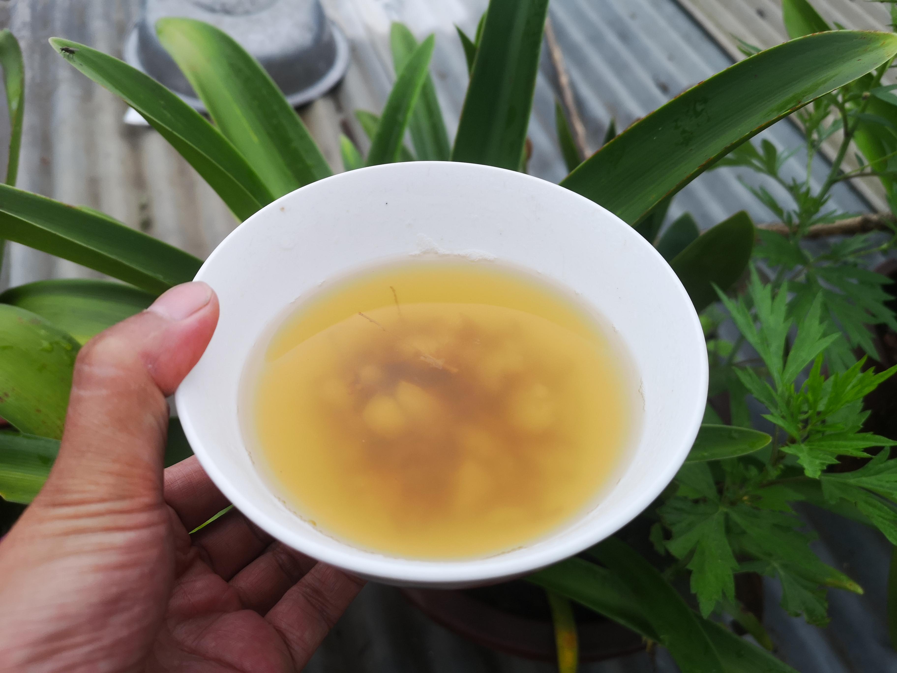 人参怎么吃？人参的吃法很重要，吃对了效果才更好 第19张