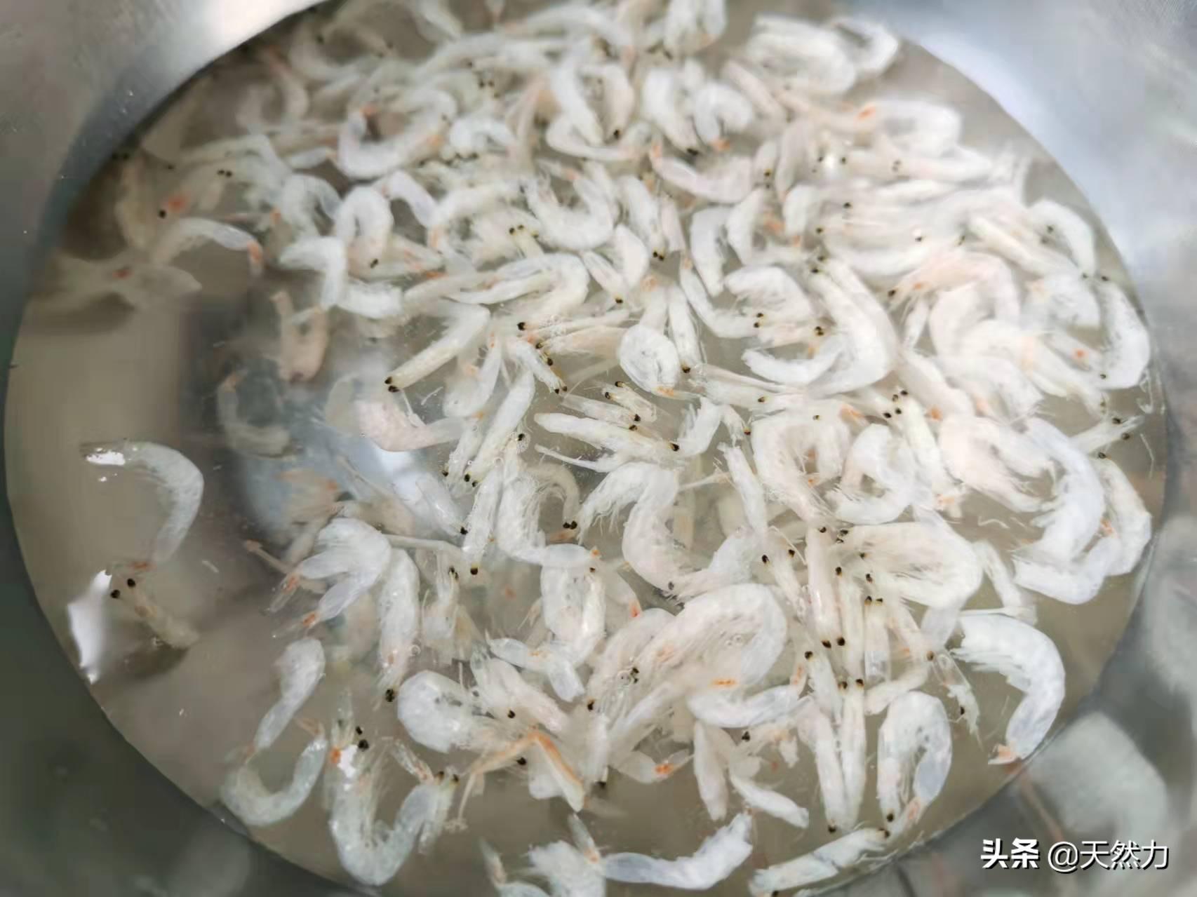 广东家常老火靓汤之萝卜排骨汤，原汁原味，香甜滋补，一看就会 第21张