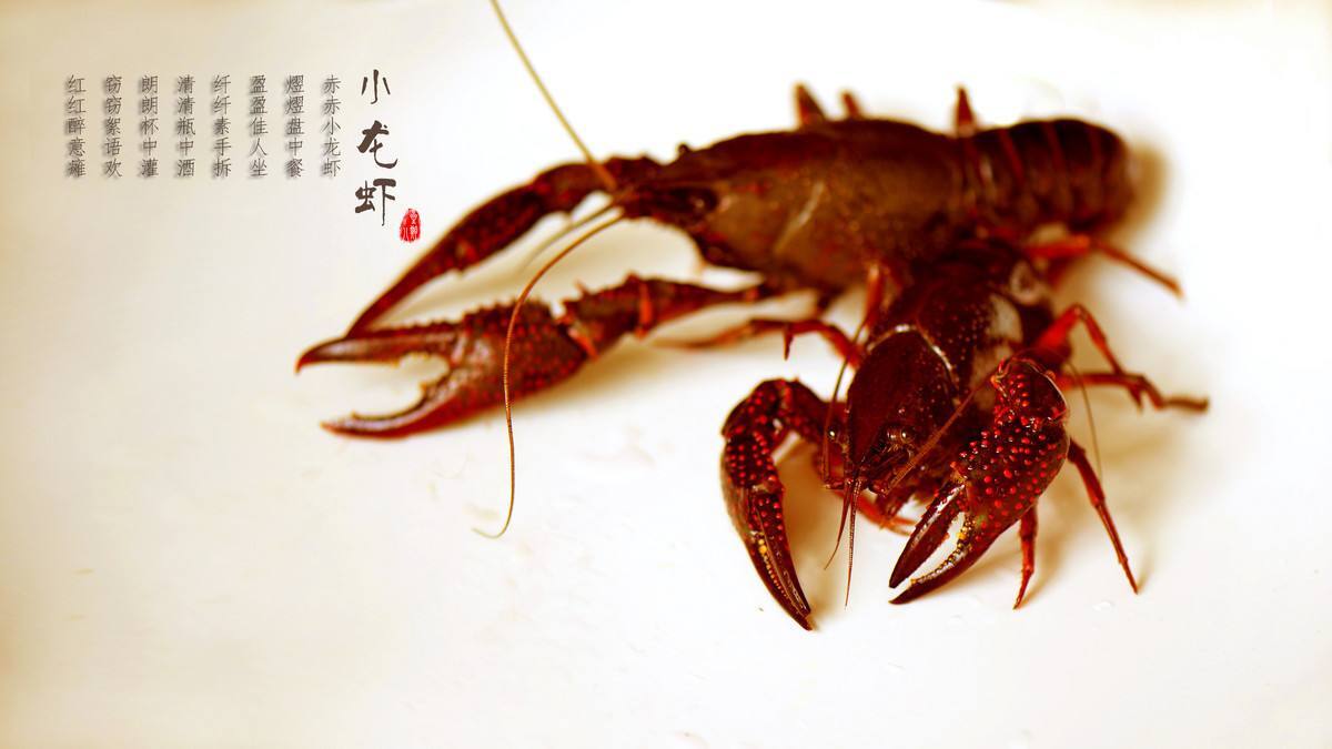 清道夫能吃吗，我们可以用吃来解决清道夫吗？ 第1张