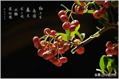 读懂了王维五个题材的十首著名的诗，就知道为何尊称他为诗佛了 第27张