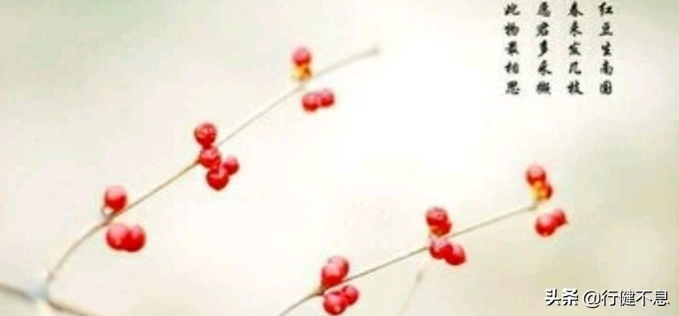 读懂了王维五个题材的十首著名的诗，就知道为何尊称他为诗佛了 第29张