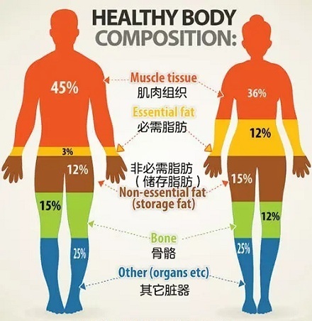 男生的腿比女生的更细？ 第3张
