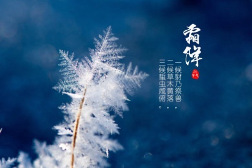 霜降节气的含义 霜降应该吃什么食物 第1张