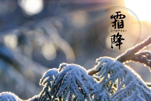 霜降节气的含义 霜降应该吃什么食物 第3张