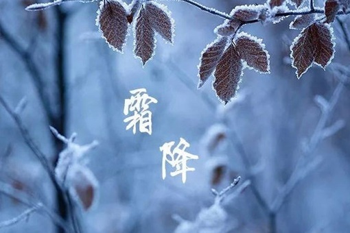 霜降节气的含义 霜降应该吃什么食物 第5张