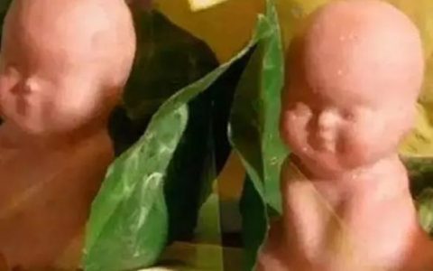 镇元子吃了金蝉子一杯茶，为何就回敬两个人参果 ？