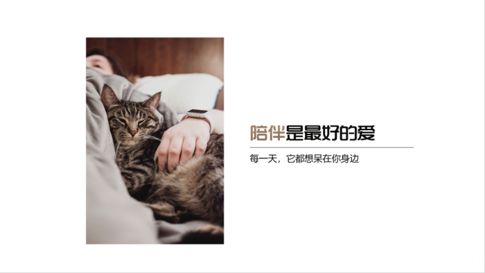 PPT怎么做图片虚化背景