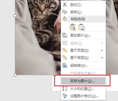 PPT怎么做图片虚化背景