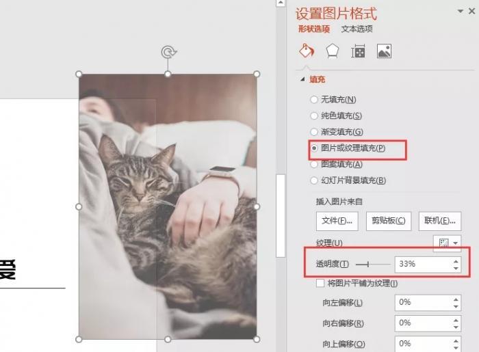 PPT怎么做图片虚化背景
