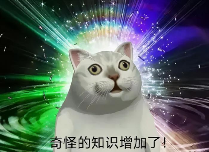 用了10年PPT，今天才知道，原来它还是个视频编辑器 第1张