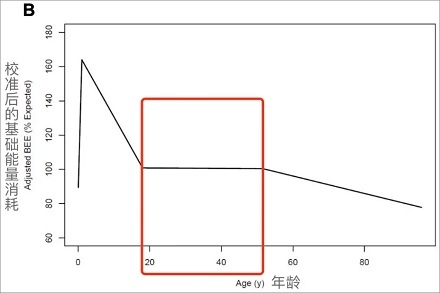 中年发福的主要原因是什么？ 第3张